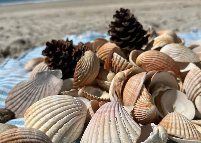 Casa De Vacaciones Гостевой дом